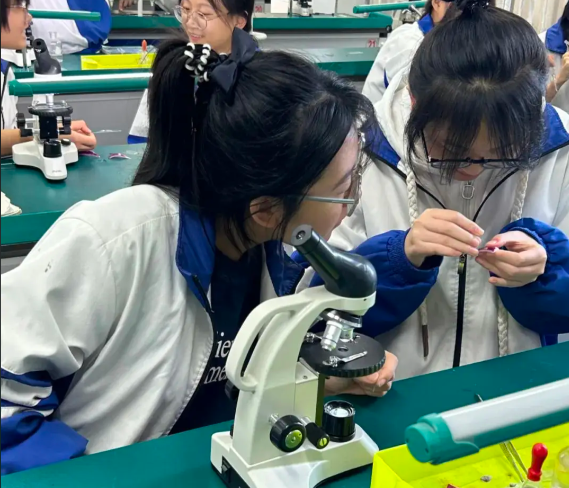 当中的讲堂经过光纤直达讲堂当名师在“专递讲堂”上为乡村孩子答疑